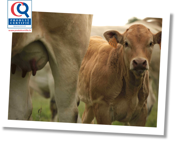 veau de nos regions produit certifie