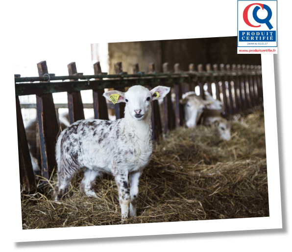 agneau de nos regions produit certifie
