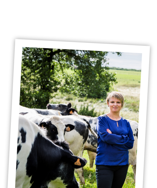 visuel collaborateur bientraitance animale