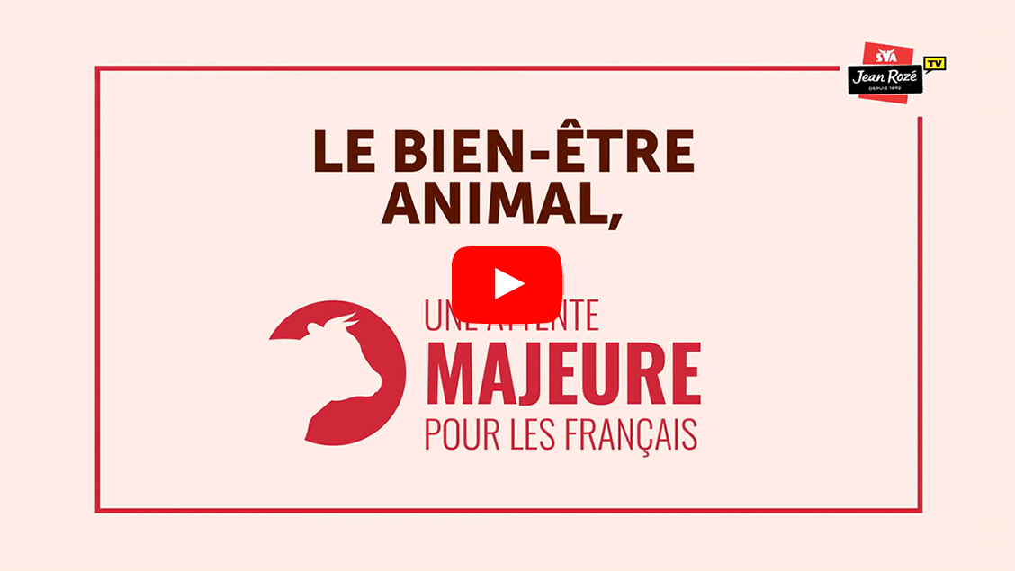 Animal welfare | SVA Jean Rozé